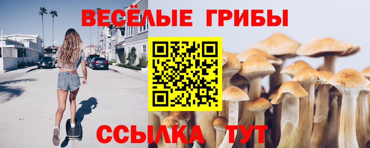Псилоцибиновые грибы Cubensis  Вход с VPN  Лениногорск 